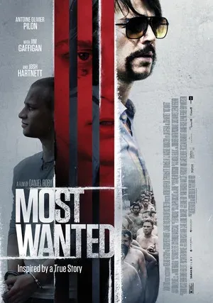 Разыскивается (2019)