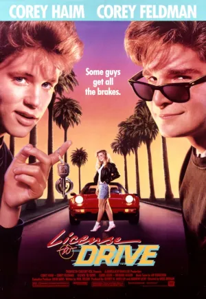 Право на вождение (1988)