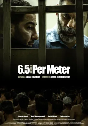 6.5 метров (2019)