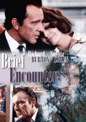Короткая встреча (1974)