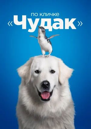 Чудак (2015)