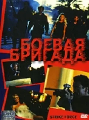 Боевая бригада (2003)