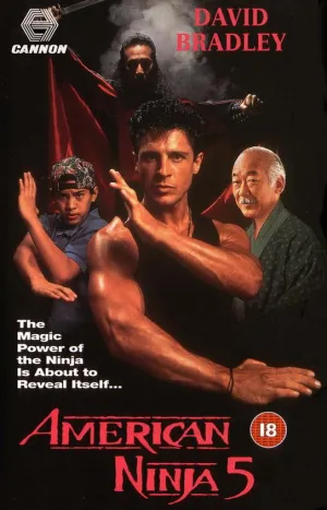 Американский ниндзя 5 (1993)