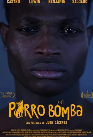 Собака-Бомба (2019)