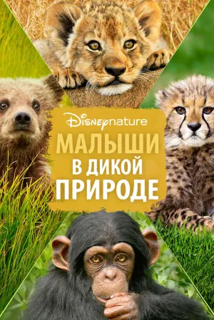 Малыши в дикой природе (2015)