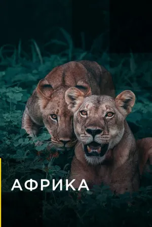 Африканские охотники (сериал 2016)