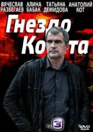 Гнездо Кочета (2013)