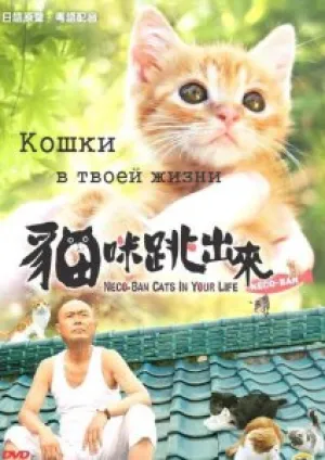 Кошки в твоей жизни (2011)