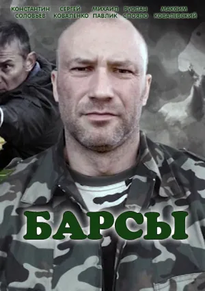 Барсы (сериал 2015)