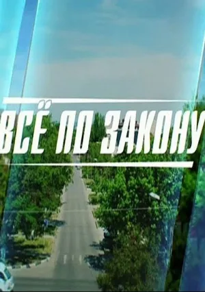 Страж закона (сериал 2015)