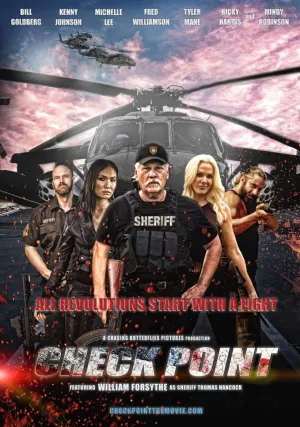 Контрольная точка (2017)
