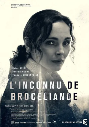 Незнакомец из Броселианда (2016)