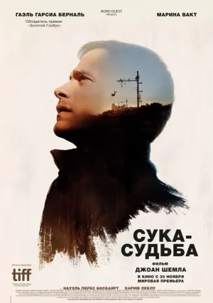 Сука-судьба (2016)