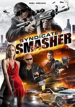 Гроза синдикатов (2017)