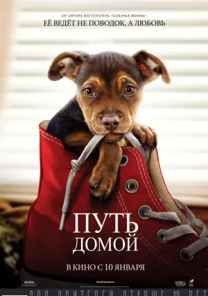 Путь домой (2019)