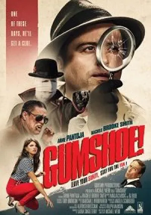 Помогите! Мой частный детектив — идиот! (2018)
