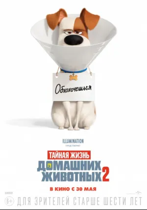 Тайная жизнь домашних животных 2 (2019)