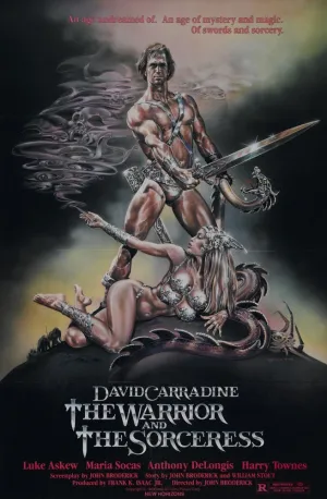 Воин и колдунья (1984)