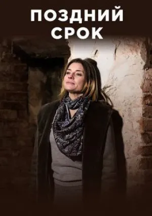 Поздний срок (сериал 2020)