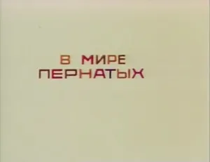 В мире пернатых (1974)